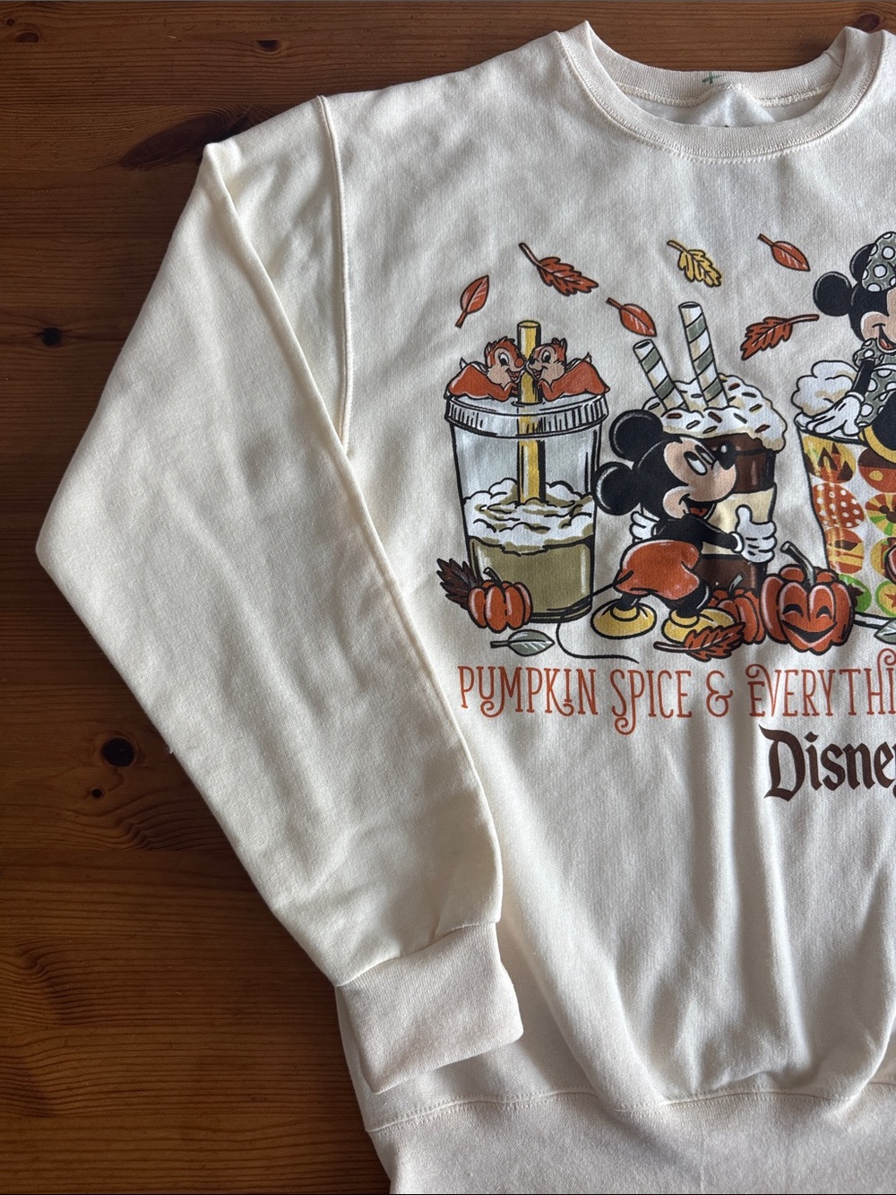 Disney Disneyland Resort Pumpkin Spice & Everything Nice Crewneck Sweatshirt - Picture 2 of 8